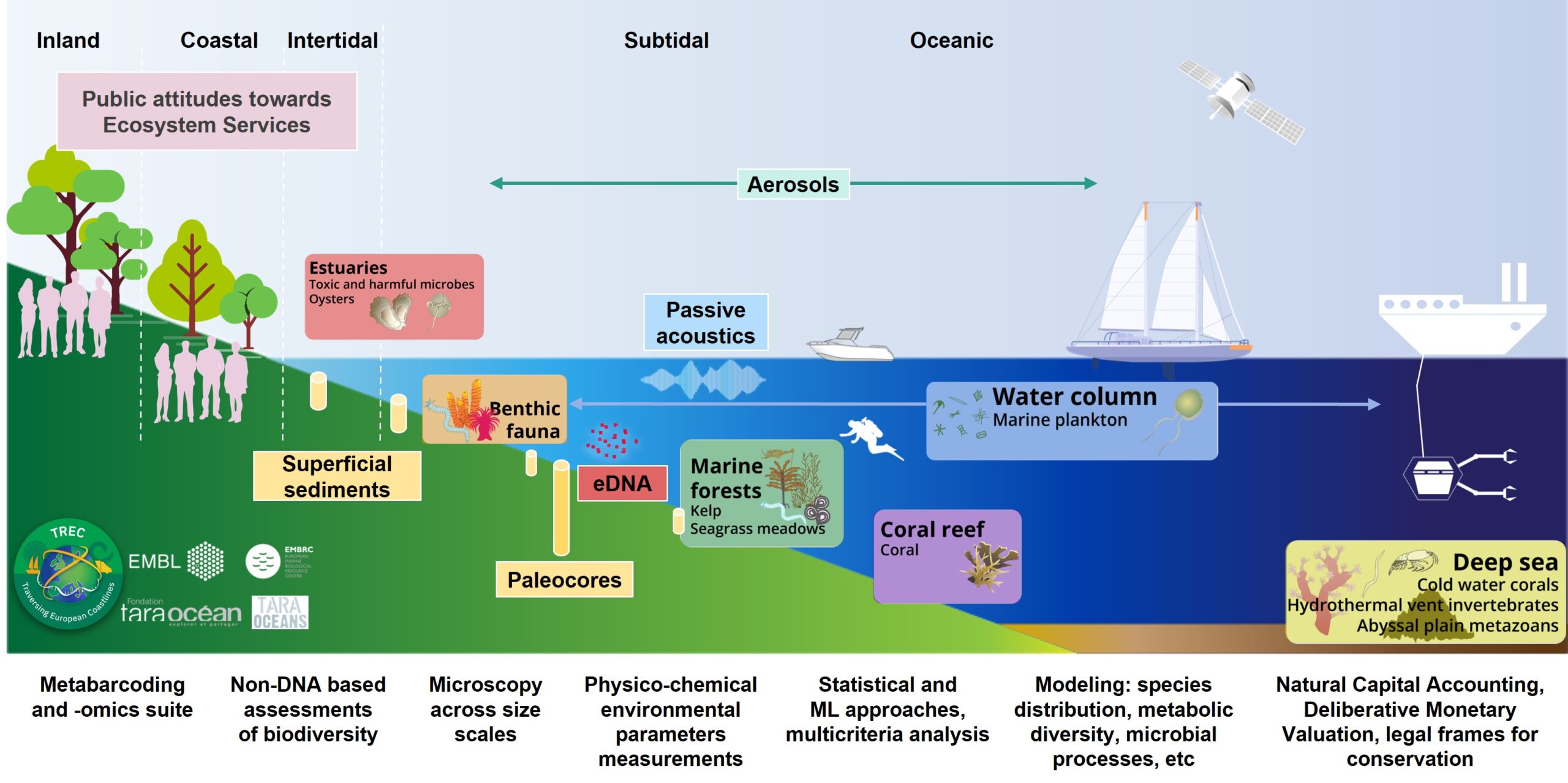 Infographic describing the different components of BIOcean5D against the coastline. Credit: EMBL / Noan LeBescot